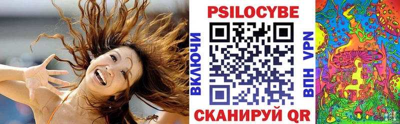 наркота  Балаково  mega как войти  Псилоцибиновые грибы Psilocybine cubensis 